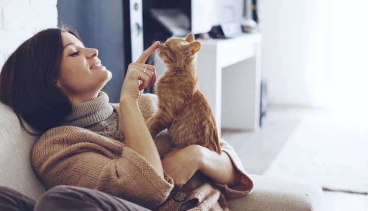 تربية القطط في المنزل التعامل النفسي