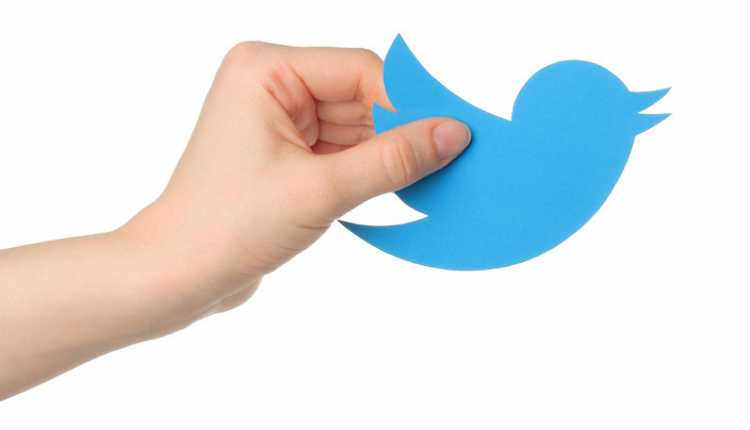 إدارة صفحات مواقع التواصل كيفية إدارة حساب تويتر لأغراض العمل