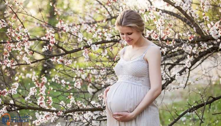 تخطي فترة الحمل ما هو الحمل؟